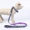 COLLAR PREMIUM PARA PERROS DISNEY VILLANAS