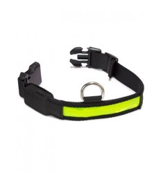 Collar Luminoso LED - talla M 38-50cm/2,5cm