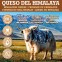 Queso del Himalaya - S (40-60gr) 7-9cm - Mordedor para perros