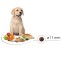 Picart Select PUPPY MEDIUM Chicken and Rice 12kg