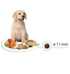 Picart Select PUPPY MEDIUM Chicken and Rice 12kg