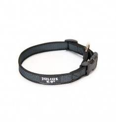 Collar Julius K9 25mm / 39-65cm