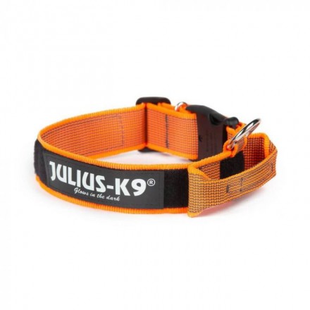 Collar Julius K9 con Asa de 40mm