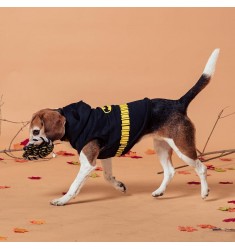 Sudadera para perros batman Licencia Oficial Cerdá