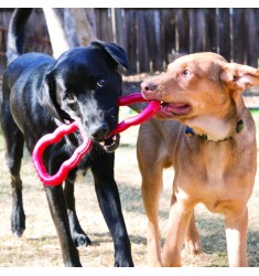 Kong Tug Toy 